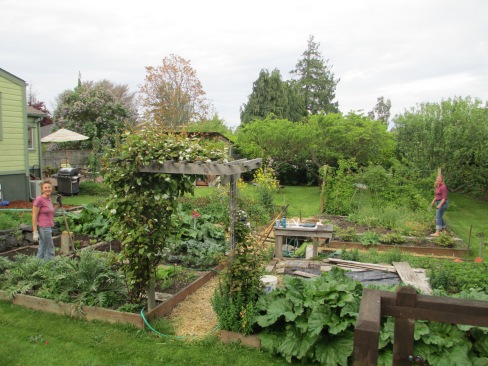 Lisa's amazing backyard garden has lots of edibles: artichokes, asparagus, chard, kiwis, blueberries, rhubarb, chives, strawberries, apples, and much more! 